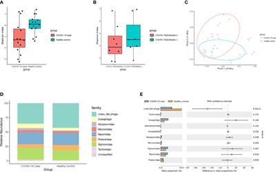 Alterations in the Composition of Intestinal DNA Virome in Patients With COVID-19